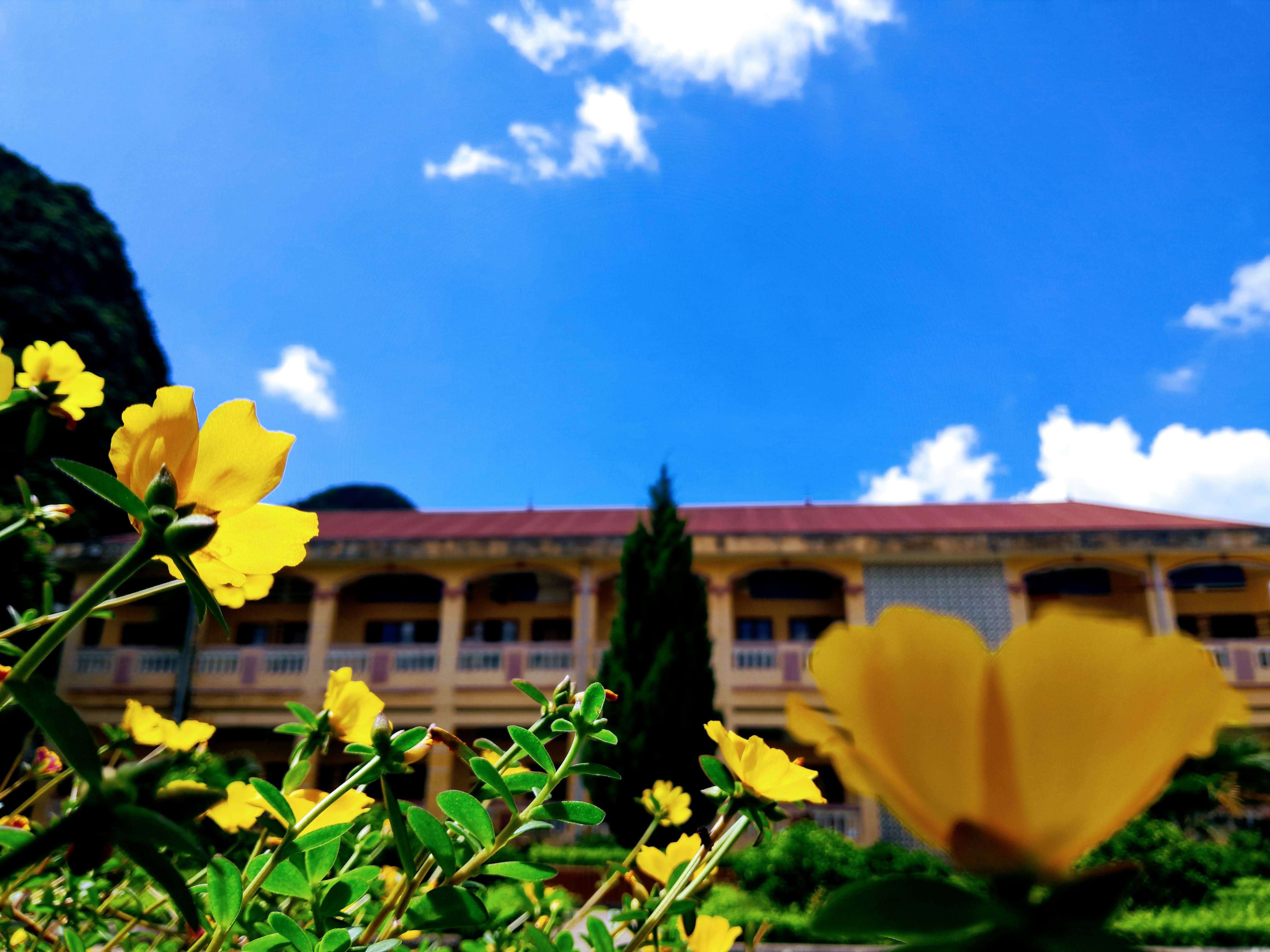 Khuôn viên Nội trú Bình Gia