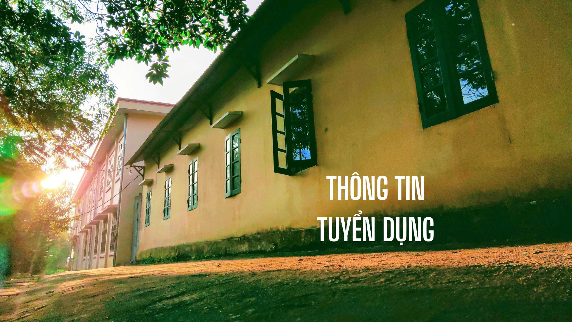 Thông tin tuyển dụng