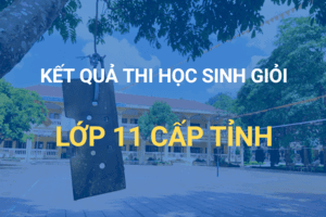 Nội trú Bình Gia đạt 33 giải trong Kỳ thi chọn HSG cấp tỉnh lớp 9, 11 năm học 2025 - 2026