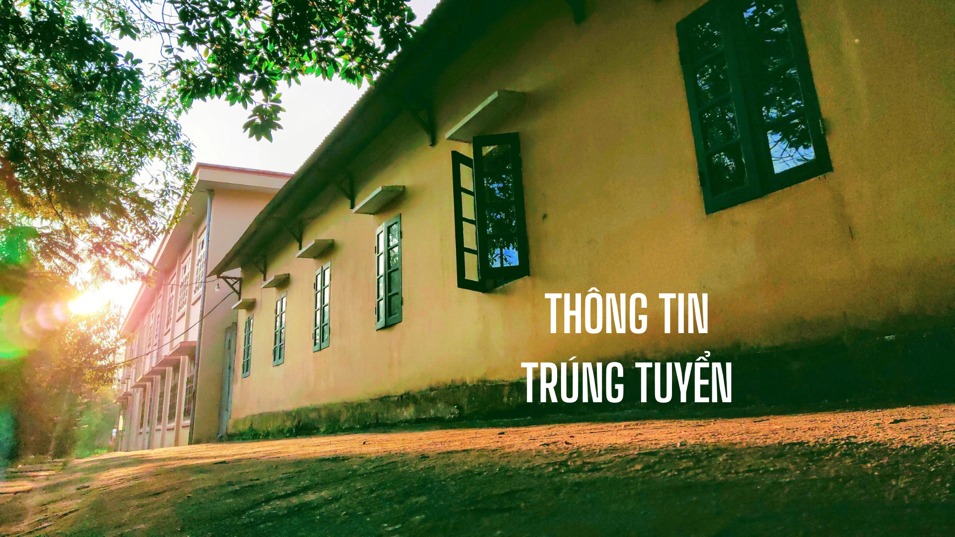 Thông báo tuyển dụng